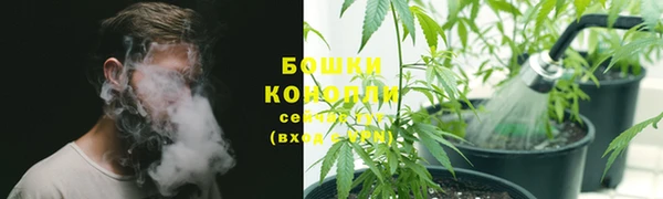 spice Коряжма