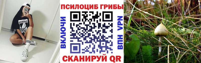 Псилоцибиновые грибы Psilocybine cubensis как найти наркотики KRAKEN маркетплейс Холм
